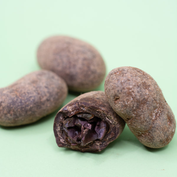 Fèves de cacao – Image 2