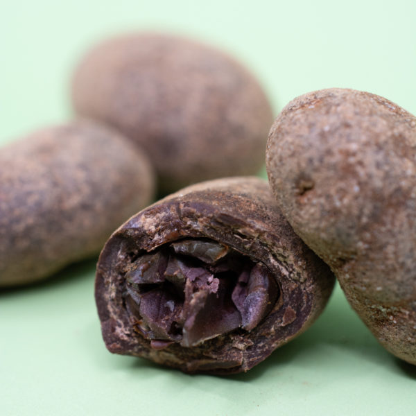 Fèves de cacao – Image 3