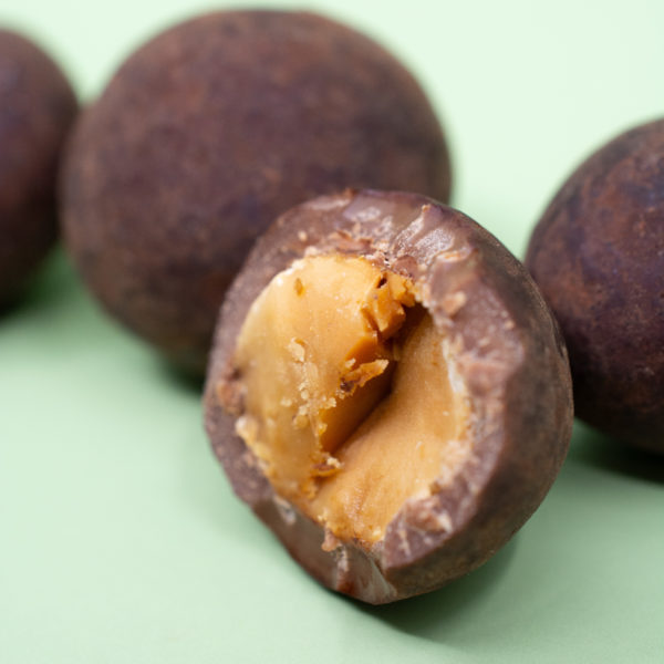 Macadamia – Image 3